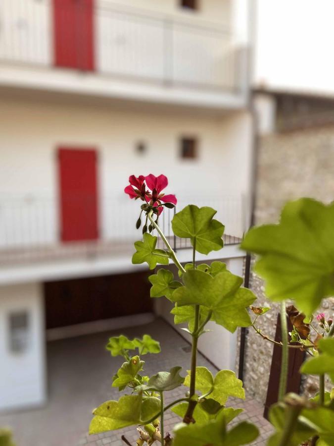 La Volpe Rossa Rooms And Apartments San Felice del Benaco Bagian luar foto